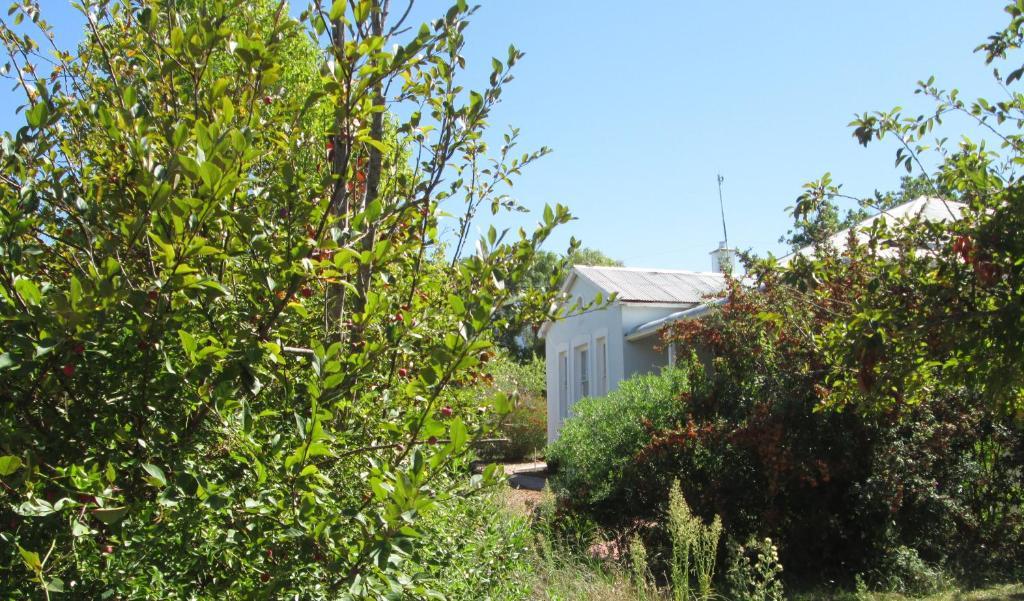 Impangele Guest House Swellendam Szoba fotó