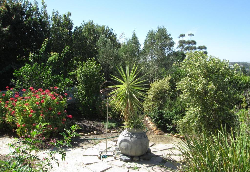 Impangele Guest House Swellendam Kültér fotó